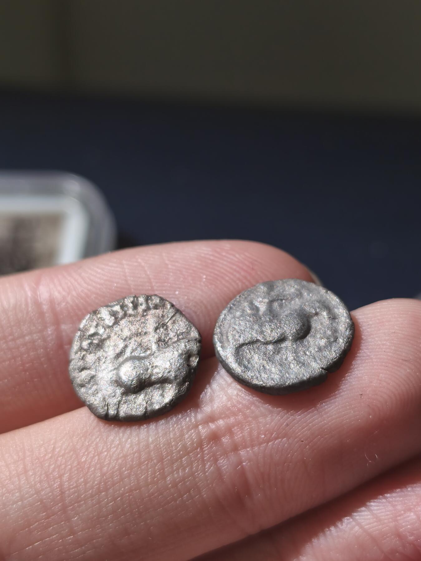 星盘世界钱币十一月五日古典币专场