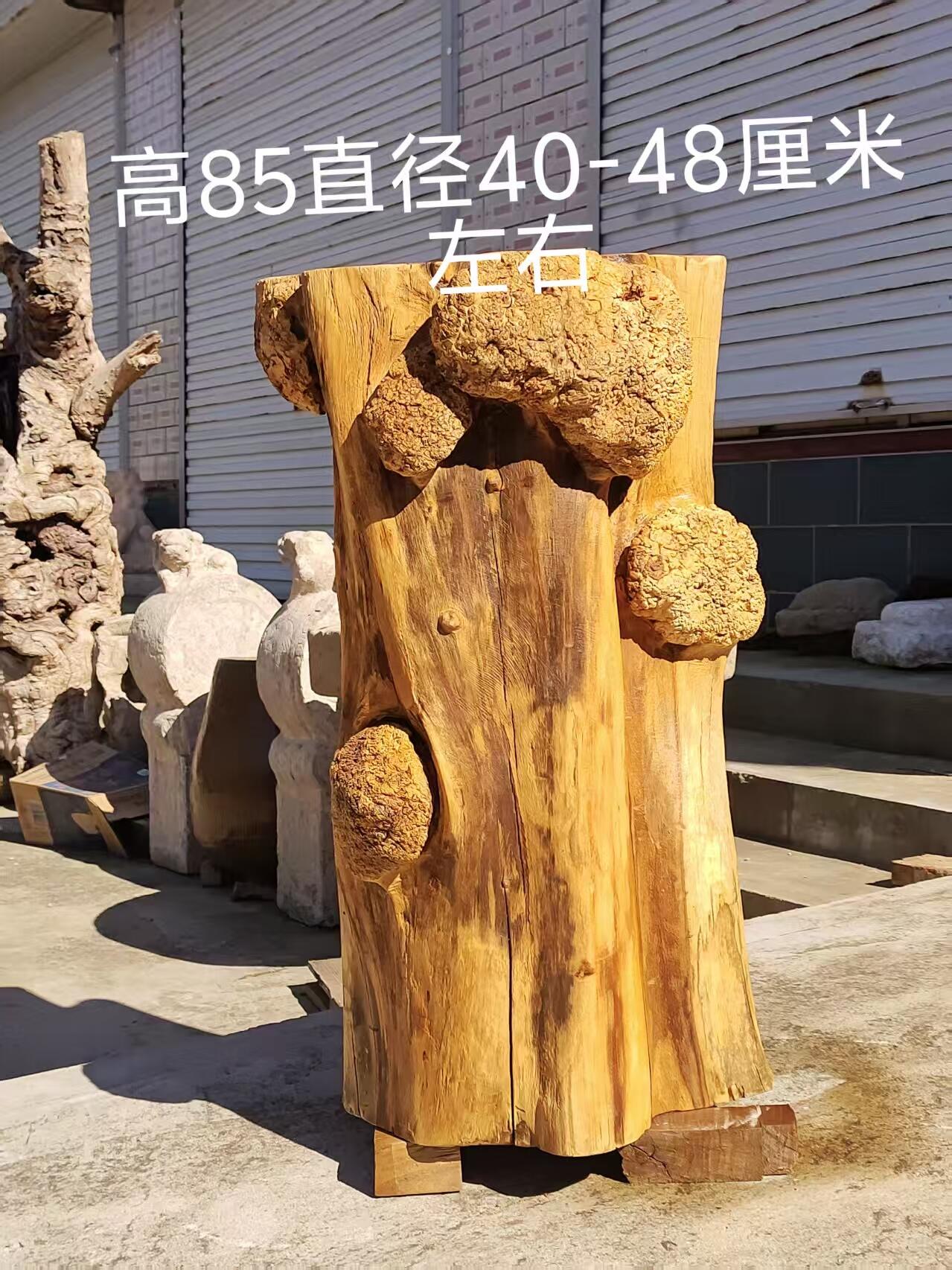 精品特大老榆木风化树瘤异形木墩，天然造型独特漂亮，可做花架，底座民宿，茶空间侘寂风装修佳品