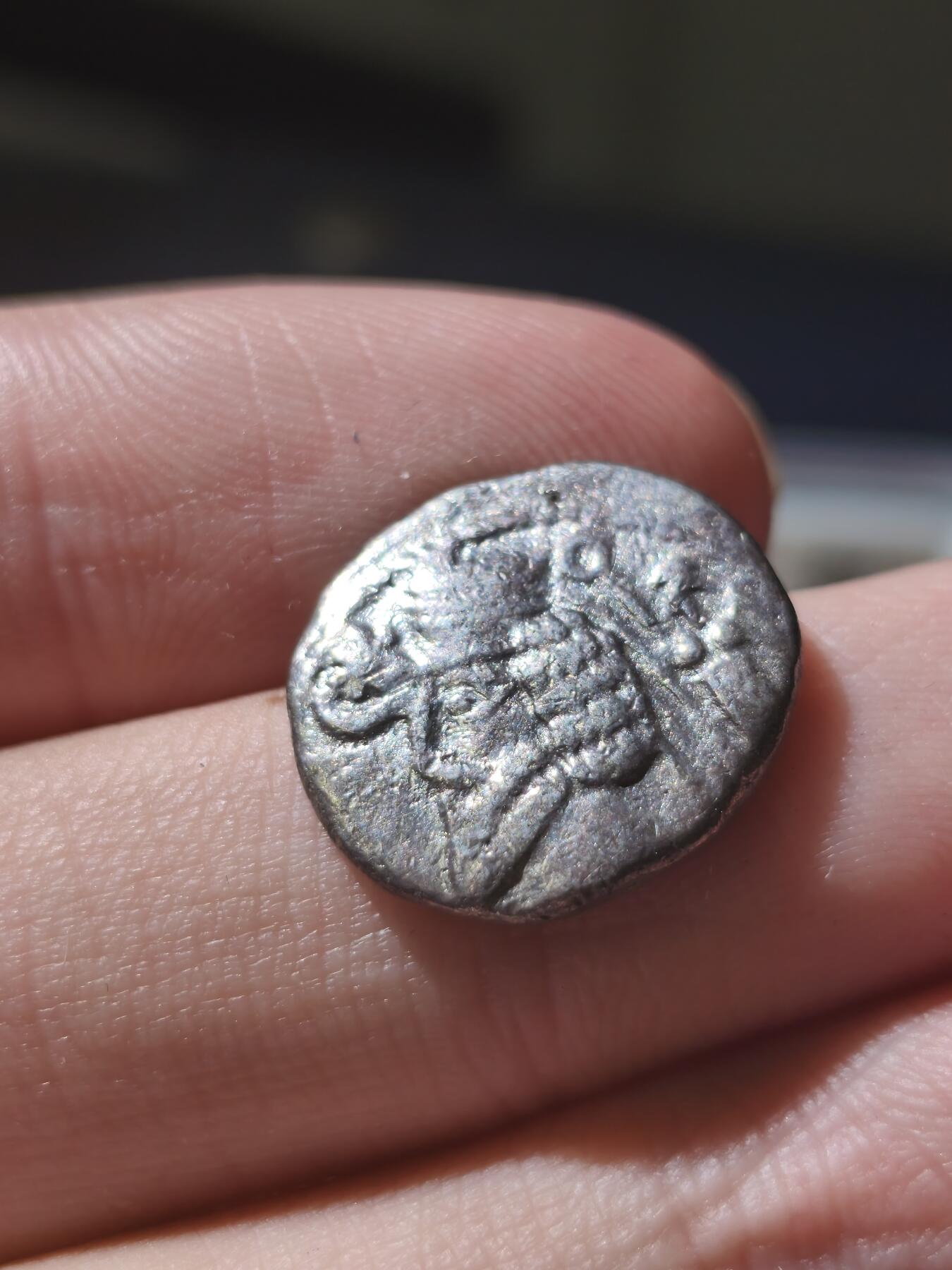 星盘世界钱币十一月五日古典币专场