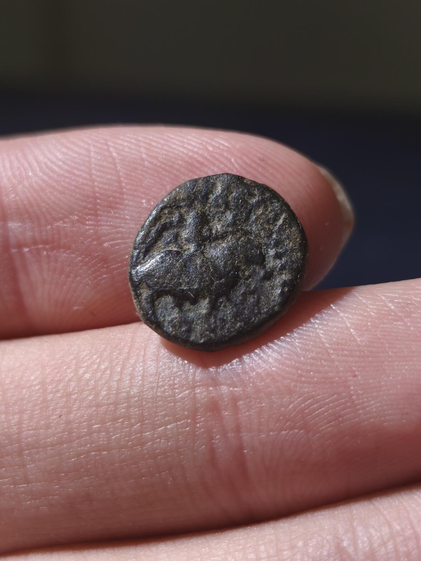 星盘世界钱币十一月五日古典币专场