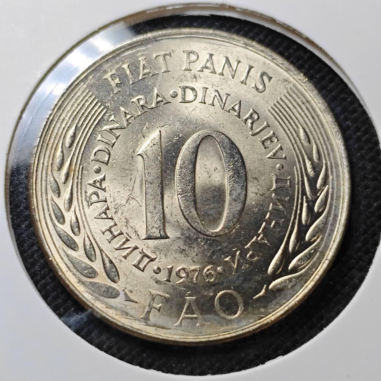 KK钱币收藏小铺  纪念币专场  2月预留时间 周末发货  南斯拉夫10第纳尔FAO