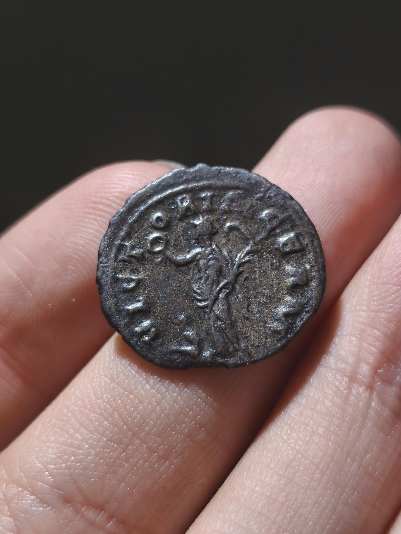 星盘世界钱币十一月五日古典币专场