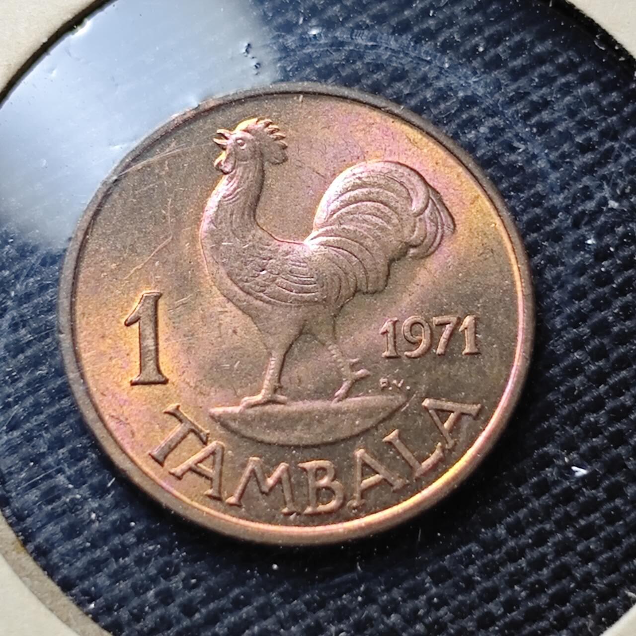 KK钱币收藏小铺  第357场  2月预留时间 周末发货 1971马拉维1坦巴拉 拆卷品