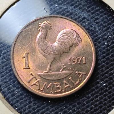 KK钱币收藏小铺  第357场  2月预留时间 周末发货 - 1971马拉维1坦巴拉 拆卷品