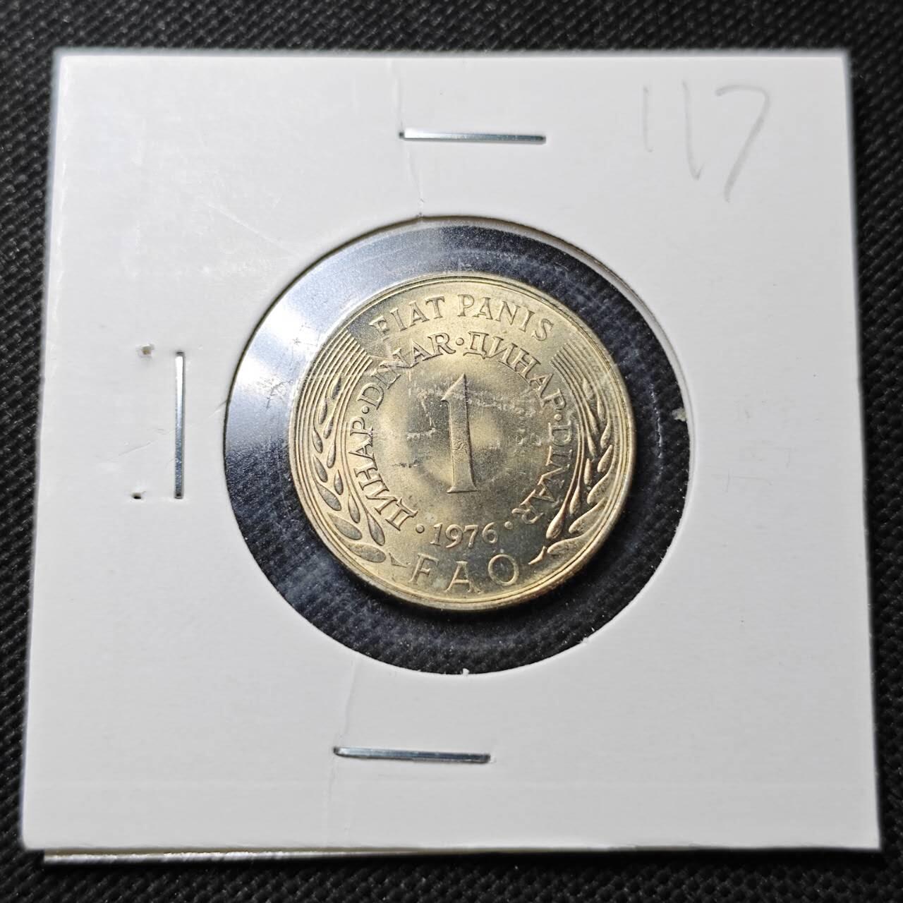 KK钱币收藏小铺  纪念币专场  2月预留时间 周末发货  南斯拉夫1第纳尔FAO