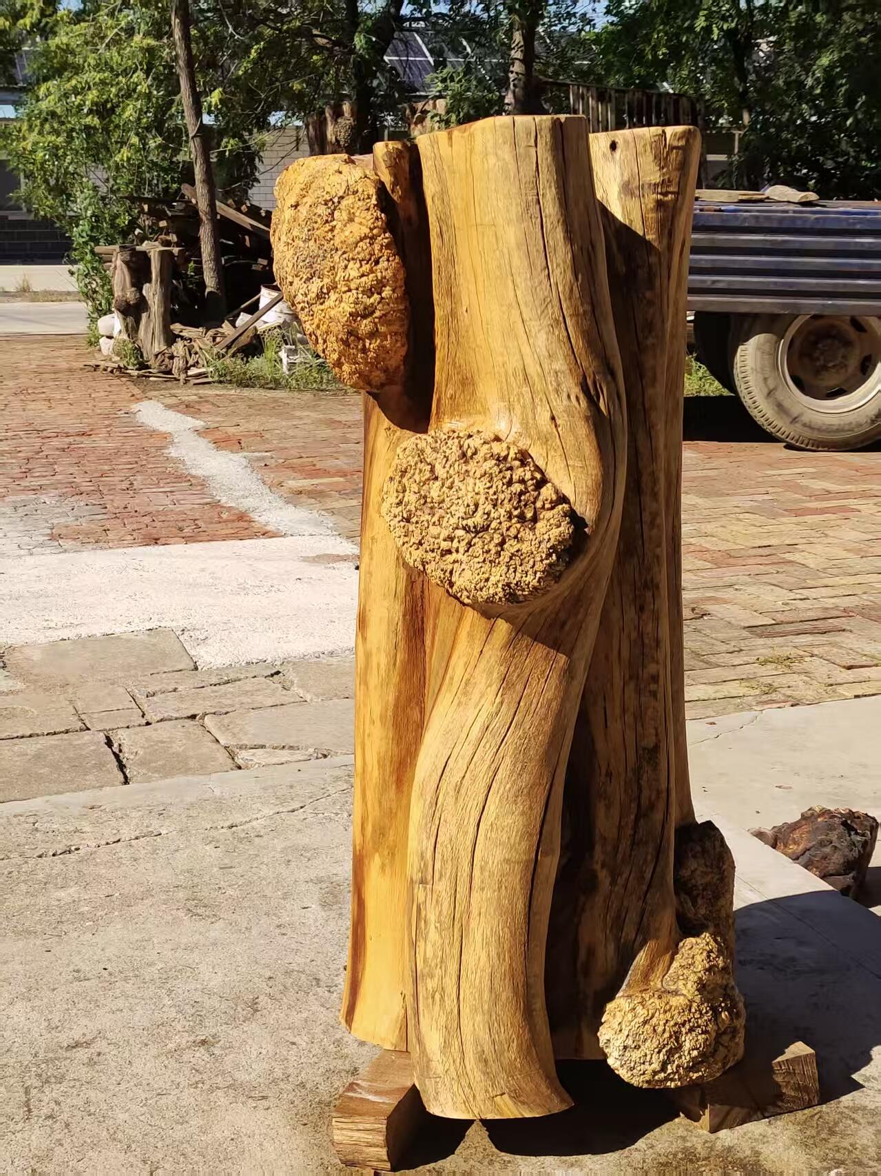 精品特大老榆木风化树瘤异形木墩，天然造型独特漂亮，可做花架，底座民宿，茶空间侘寂风装修佳品