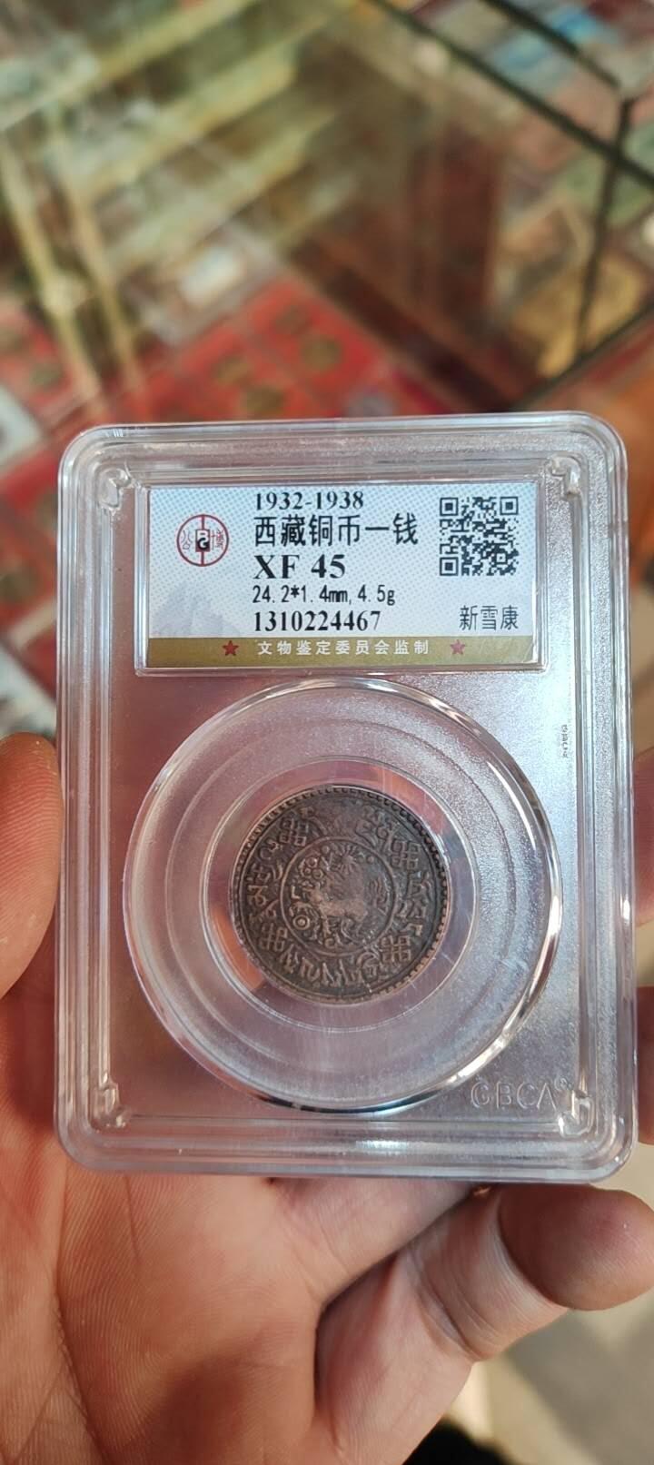 图南收藏 西藏铜币