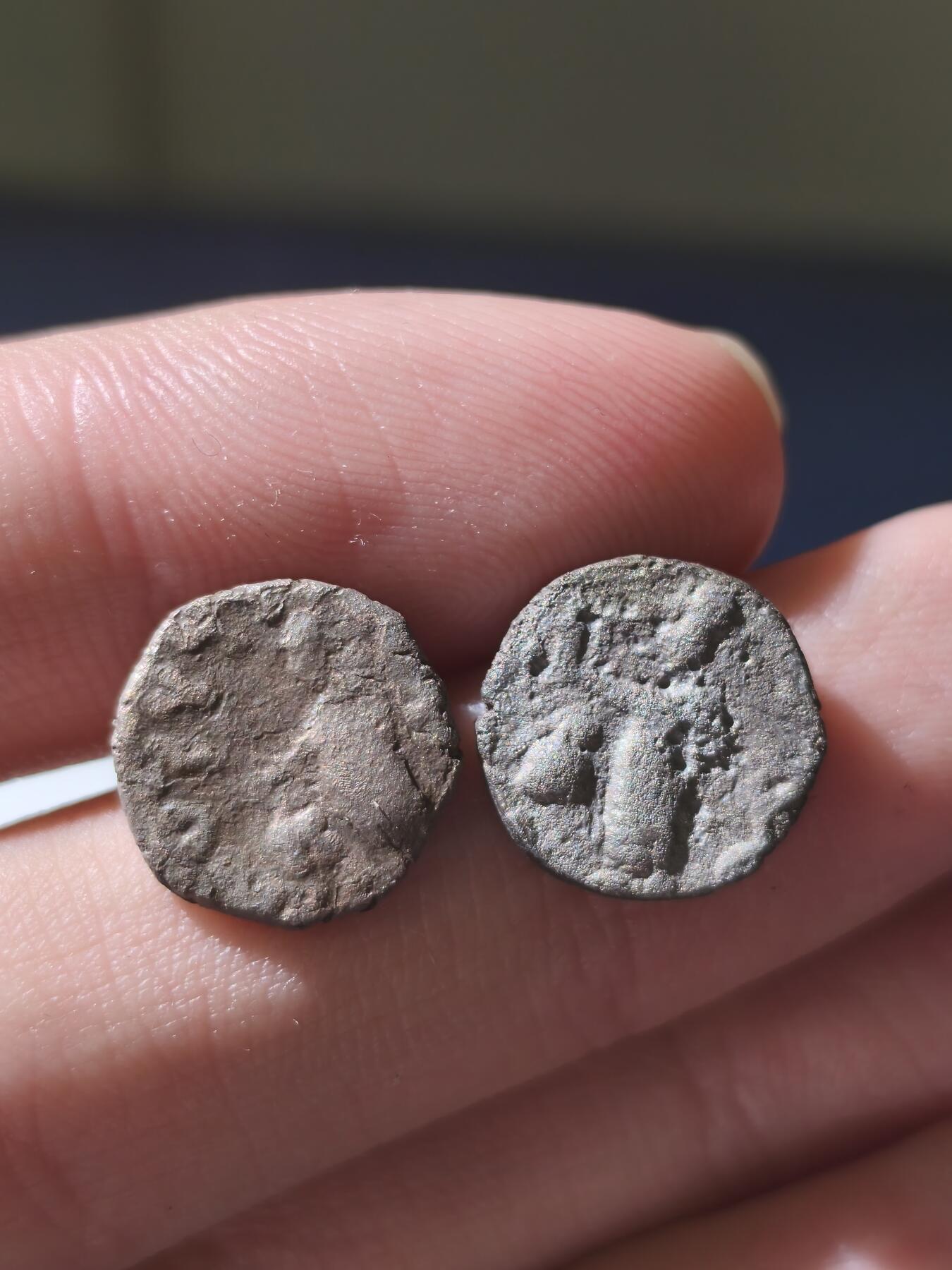 星盘世界钱币十一月五日古典币专场