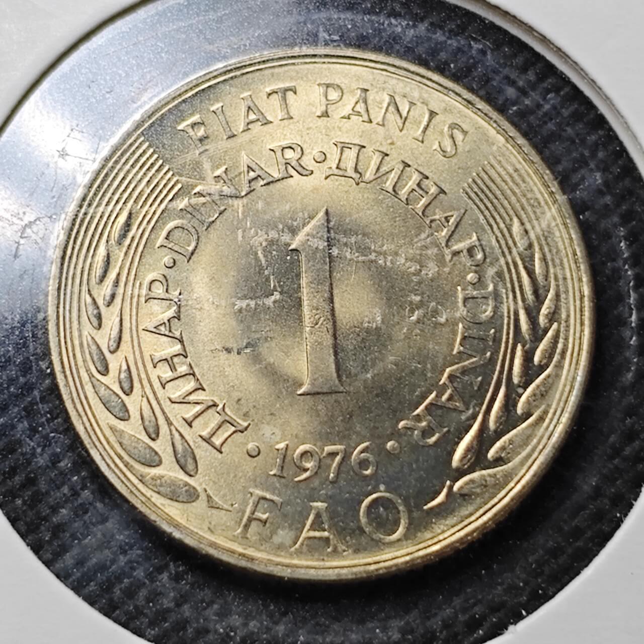 KK钱币收藏小铺  纪念币专场  2月预留时间 周末发货  南斯拉夫1第纳尔FAO