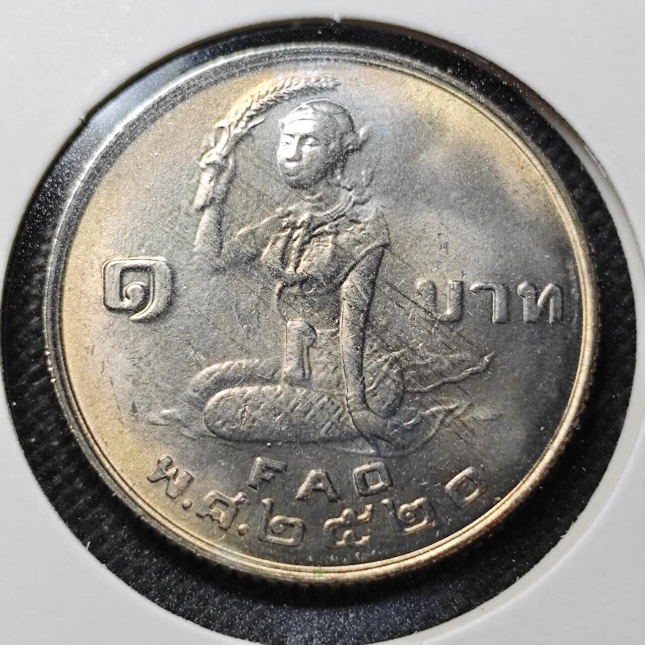 KK钱币收藏小铺  纪念币专场  2月预留时间 周末发货  泰国1泰铢纪念币