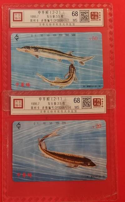 《鸿通俱乐部》拍卖第60期 10月22日21：00延时节拍 - 湖北田村新卡《中华鲟》2全 鸿通 68分*2