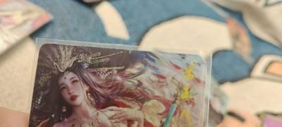 秋原瞳的小店第二十六期（持续收拍，日子飞快，转眼又是一年冬来到） - x燎原自制卡——潘玉儿。印刷不错