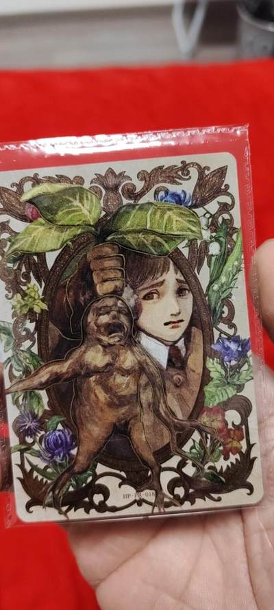 秋原瞳的小店第二十六期（持续收拍，日子飞快，转眼又是一年冬来到） - 卡游哈利波特活动卡