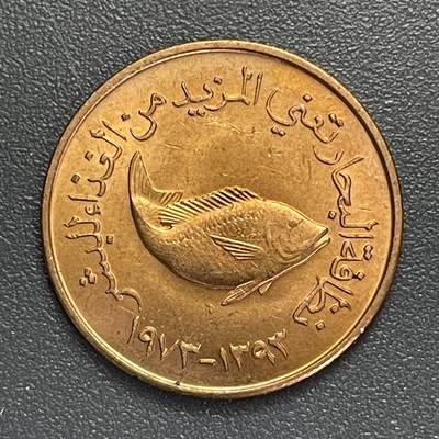 回流1022 - 阿拉伯联合酋长国🇦🇪5费尔 FAO纪念币