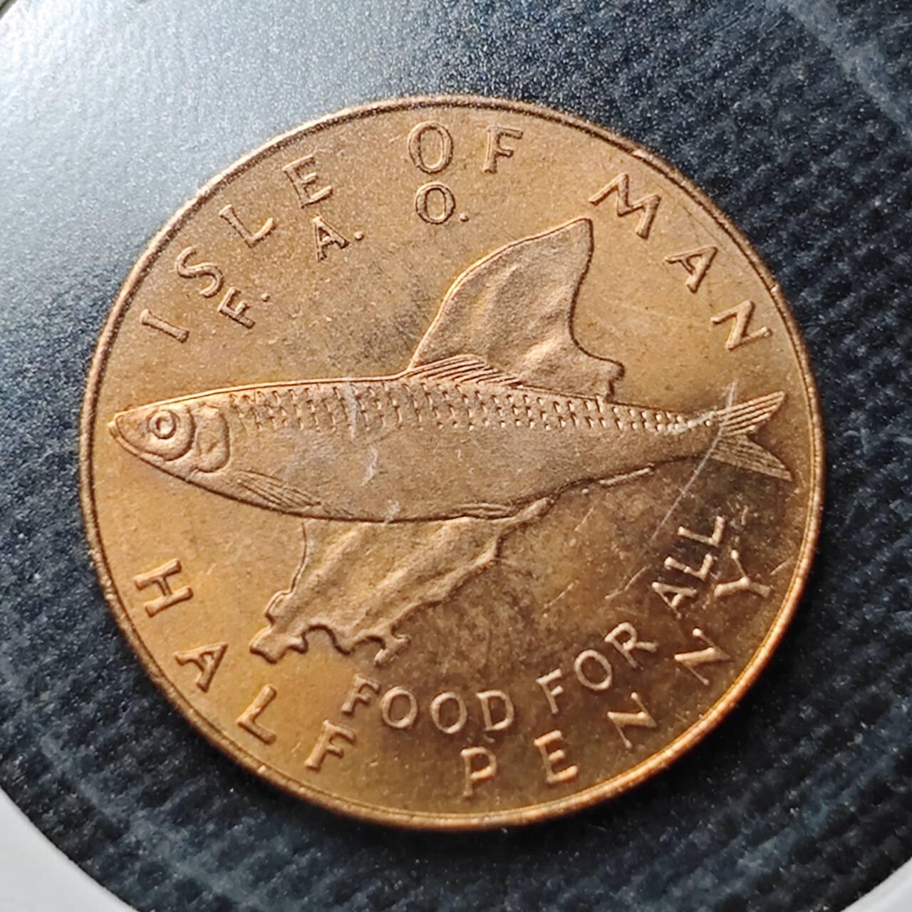 KK钱币收藏小铺  纪念币专场  2月预留时间 周末发货