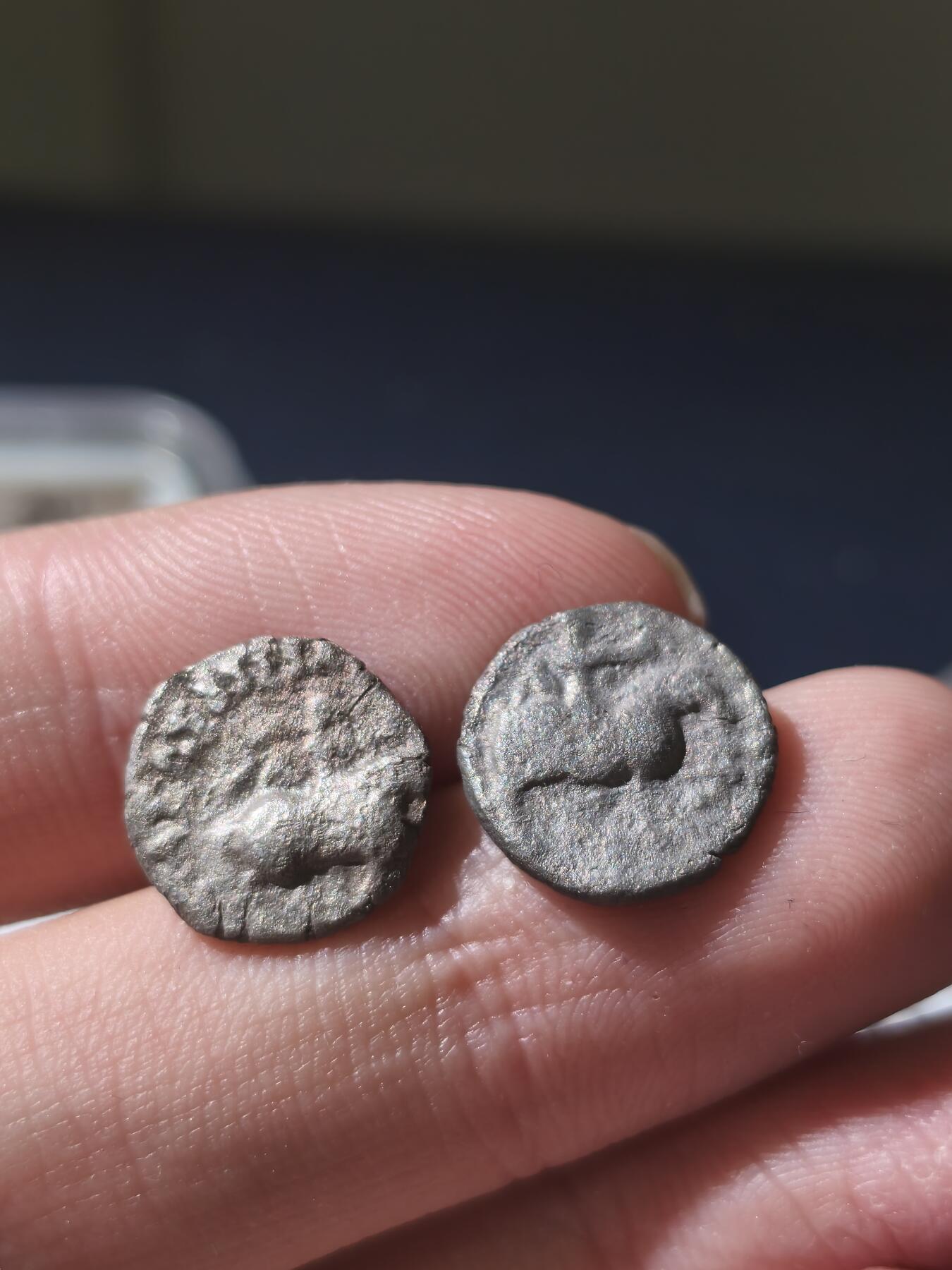 星盘世界钱币十一月五日古典币专场