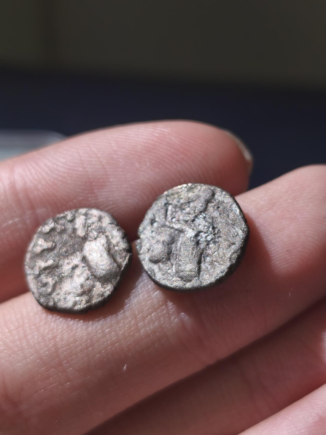 星盘世界钱币十一月五日古典币专场