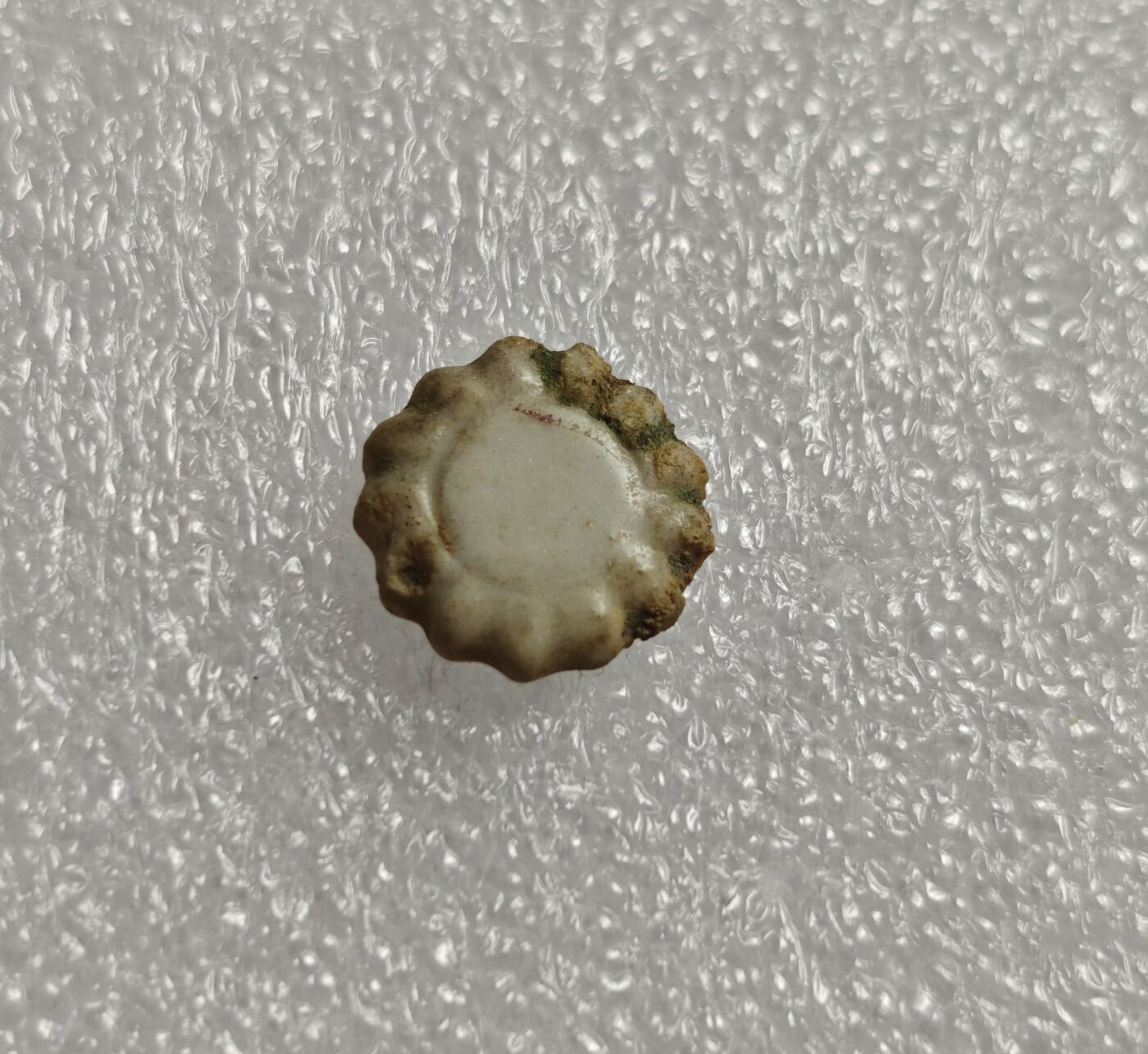 瓶子🏺第213期拍卖会  暹罗瓷币  花边