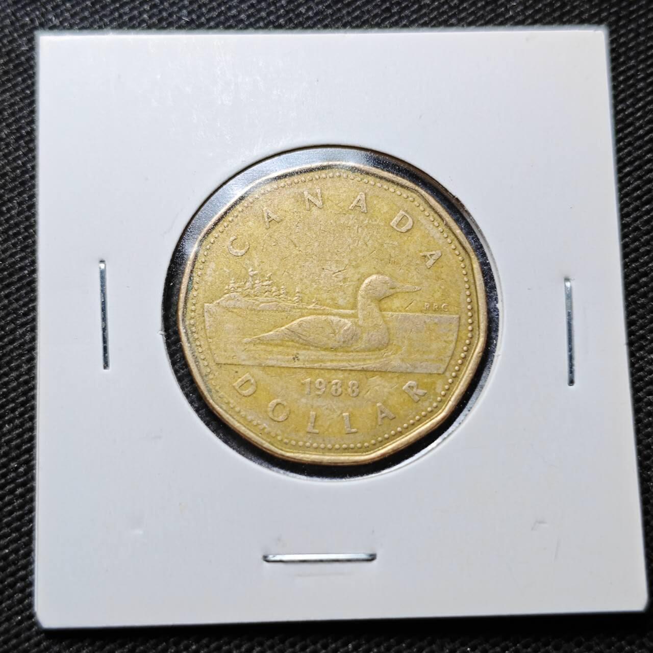 KK钱币收藏小铺  第357场  2月预留时间 周末发货 1988加拿大1元 