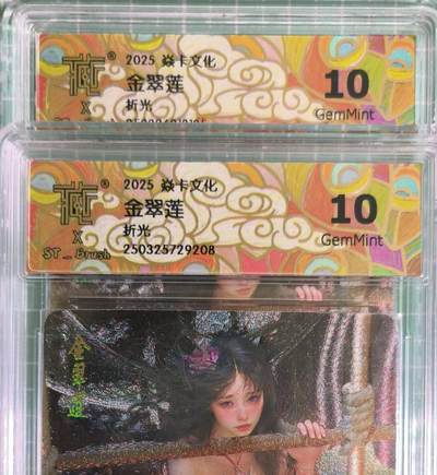 C先生卡牌 第15期 元集纪·刷子签·罐儿签·毒瘤签(持续收拍品中...) - 【折光】燎原×刷子《人间传》金翠莲 双服饰  10G