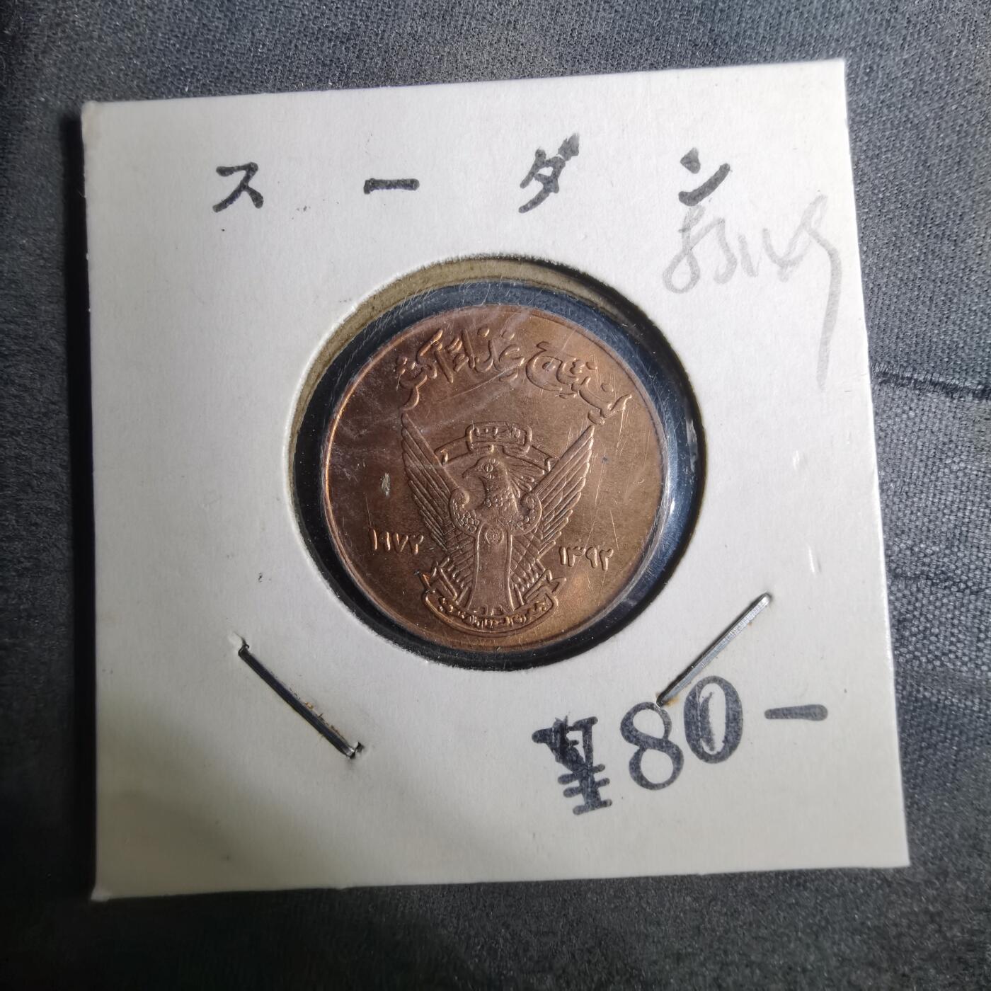 沼泽如烟--第883场 苏丹