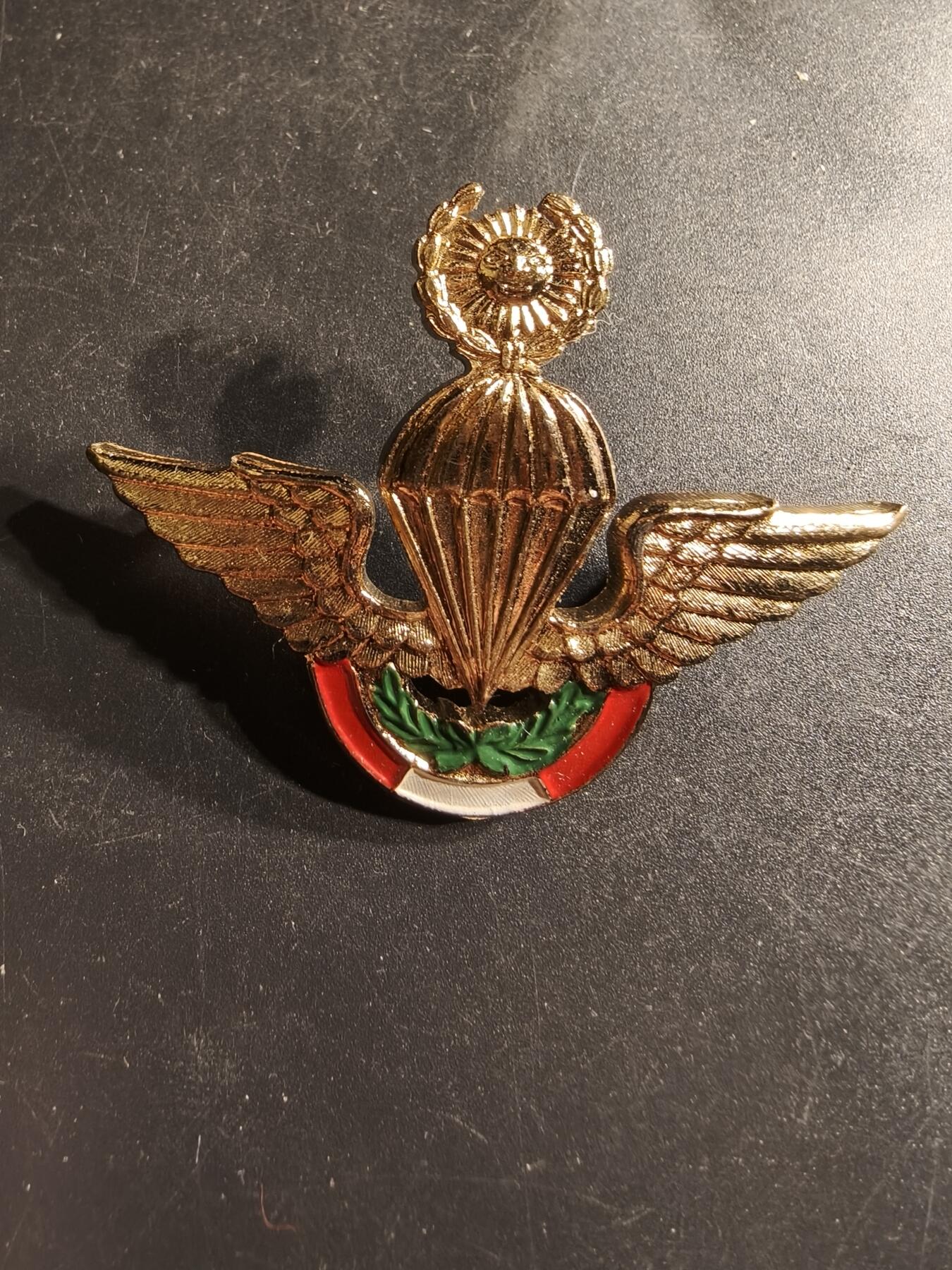 老王徽章第158期 秘鲁空降兵高级技能章