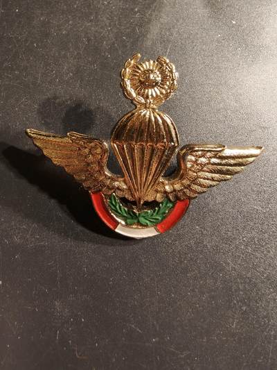 老王徽章第158期 - 秘鲁空降兵高级技能章