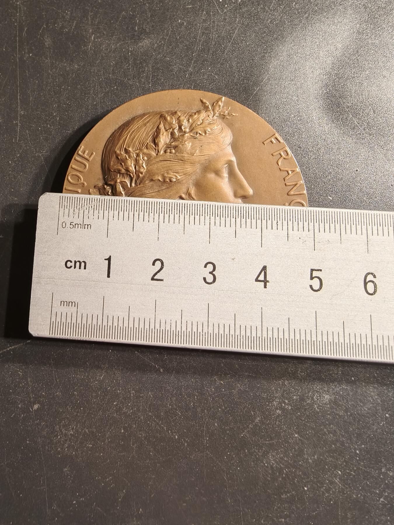 老王徽章第158期 法国花环玛丽安娜大铜章     亨利杜布瓦作品     直径50mm.    重量77.7g