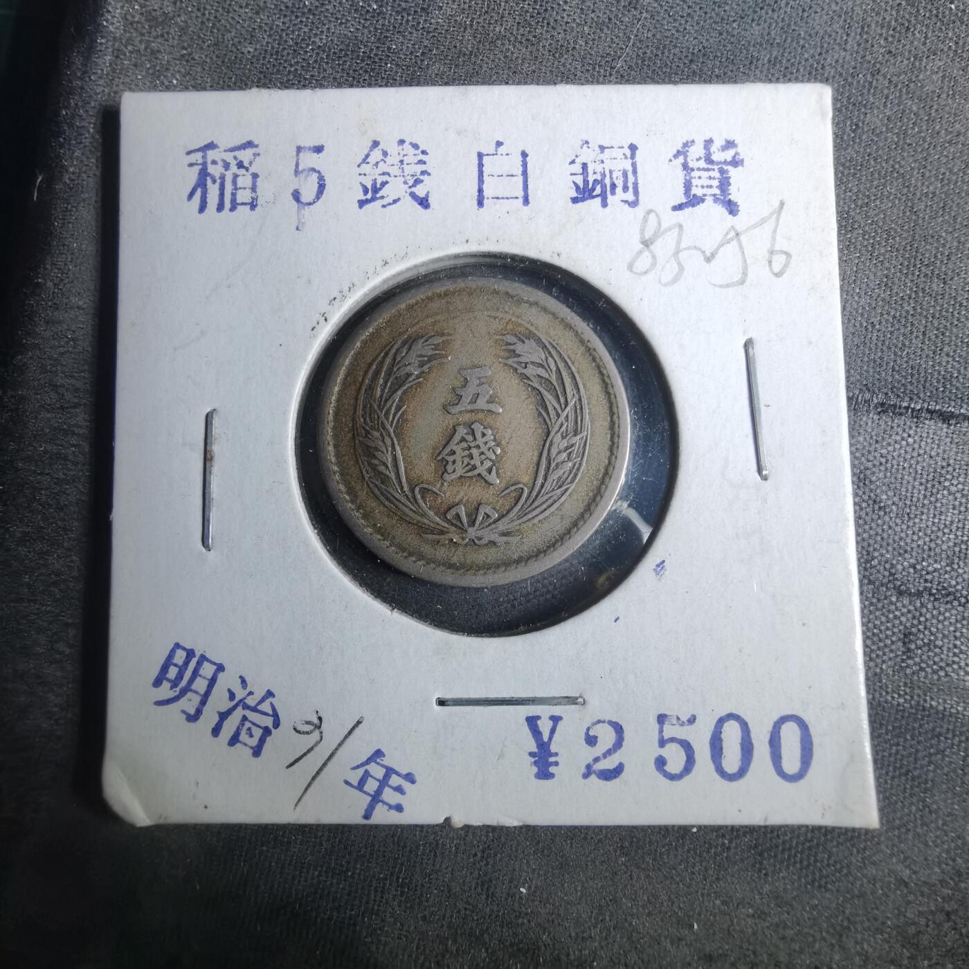 沼泽如烟--第883场