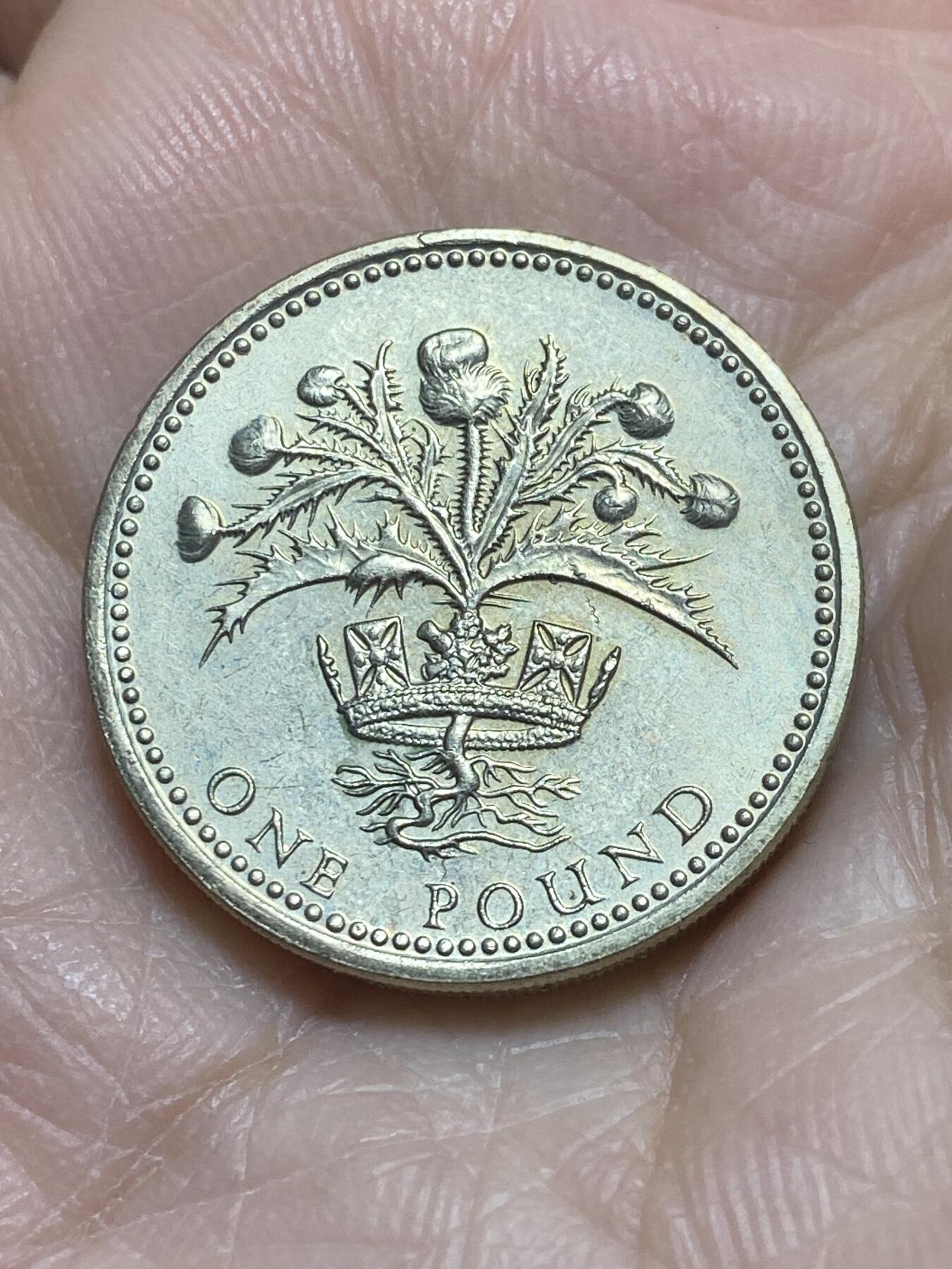 2025年第一百一十六场(总第一百四十二场）外国好品散币(免佣金) 英国🇬🇧1989年1镑(苏格兰蓟)