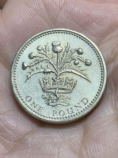 2025年第一百一十六场(总第一百四十二场）外国好品散币(免佣金) - 英国🇬🇧1989年1镑(苏格兰蓟)