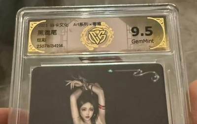龙虎卡牌第六十场 - 猎虎师狂喜（无佣金，满120包邮，周六晚上结拍，欢迎送拍） - 炫彩评级卡 燎原焱卡 Art系列 黑鸢尾 9.5G
