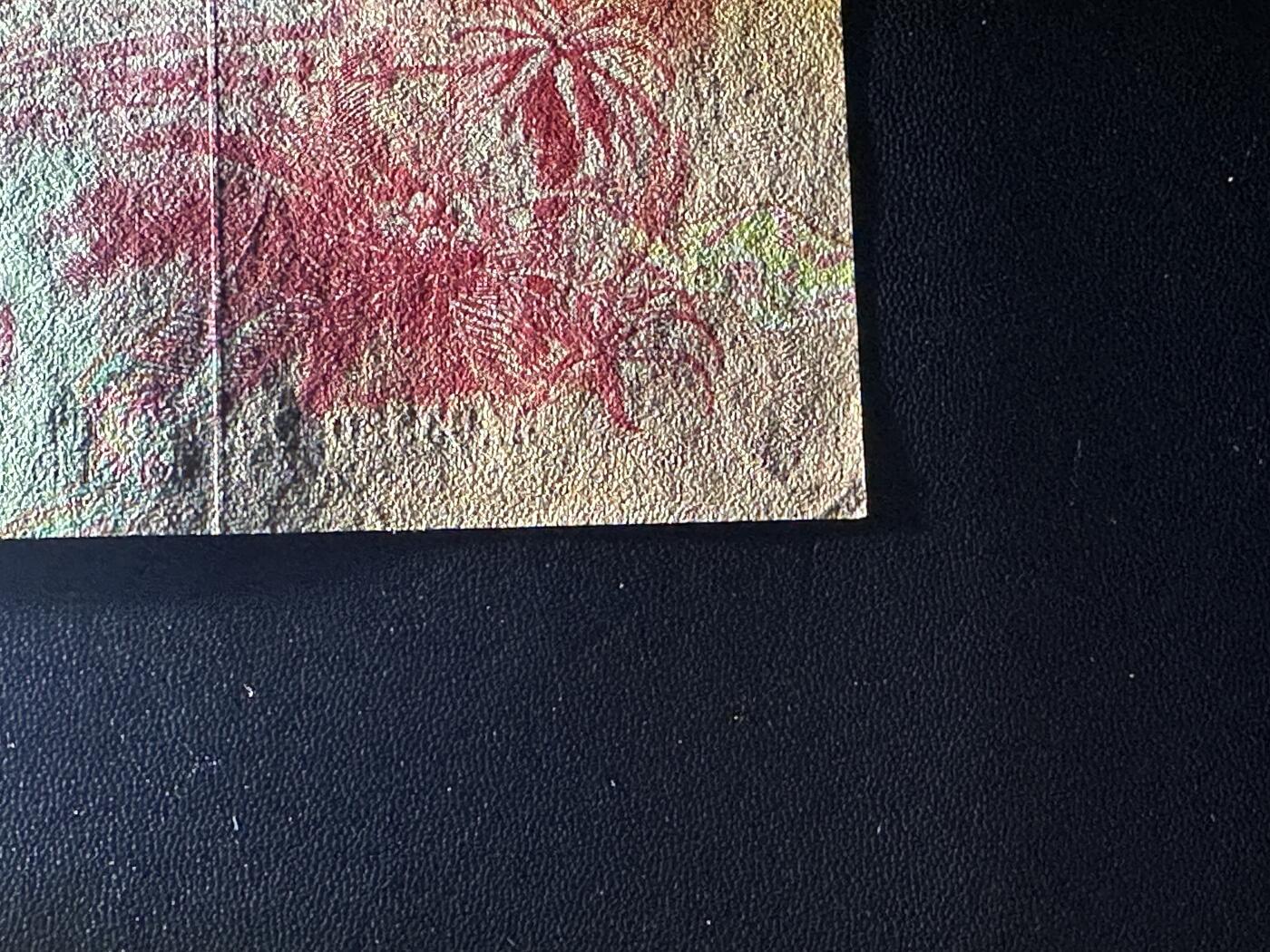 《外钞收藏家》第五百七十八期（热门品种好货场）（本平台长期征集拍品、欢迎藏友们联系合作） 1984年版50兰特 动物大迁徙 首发AA冠 全新不绝 一个角有小瑕疵