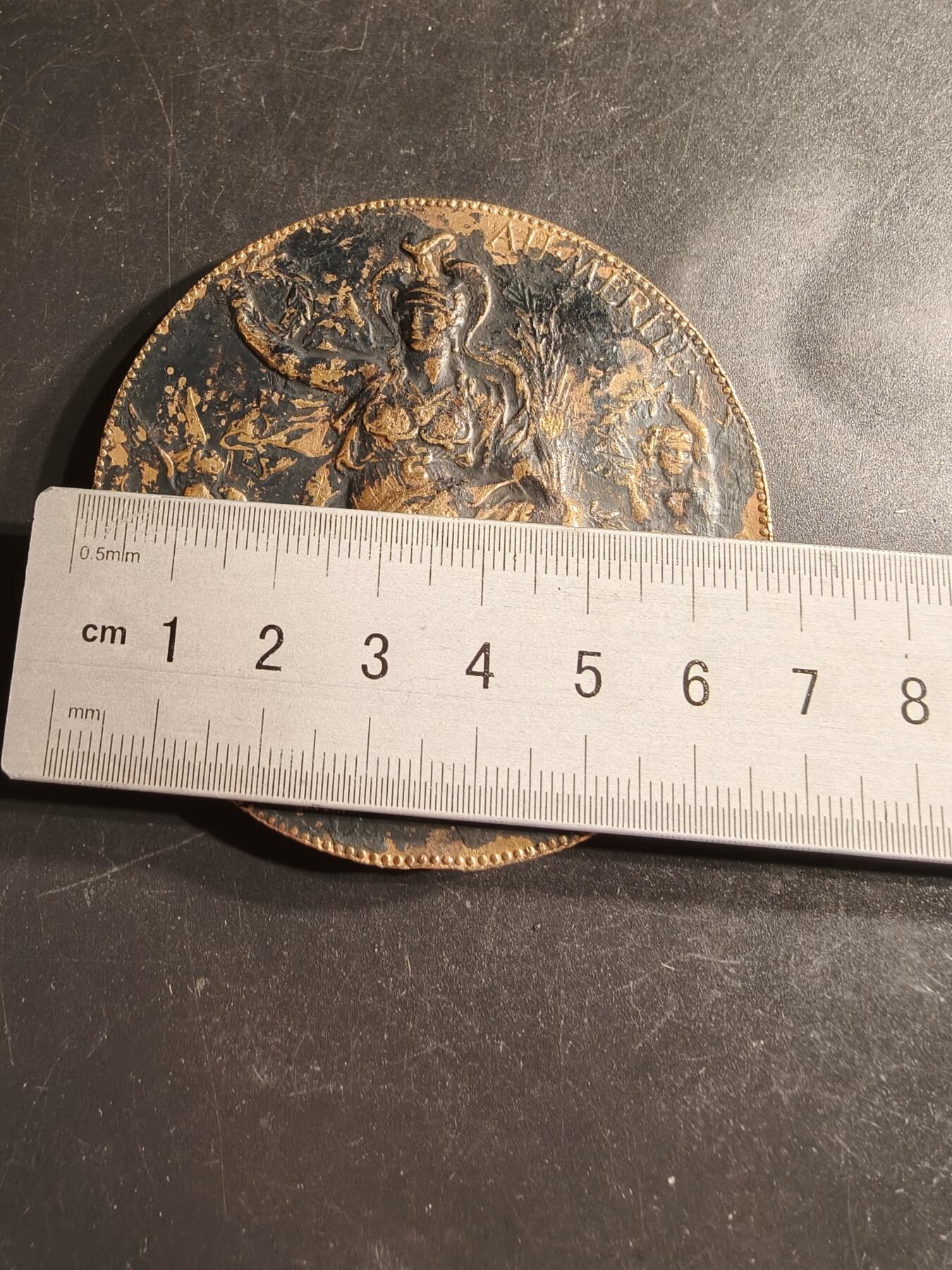 老王徽章第158期 法国加尼耶实验室大铜章    直径68mm.   重量149.8g