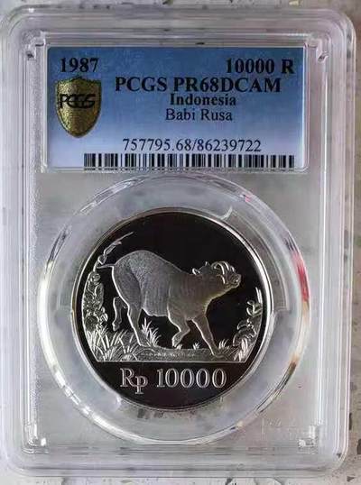 【币将精彩】世界钱币拍卖（2025-11-19） - PCGS印度尼西亚1987年WWF疣猪银币