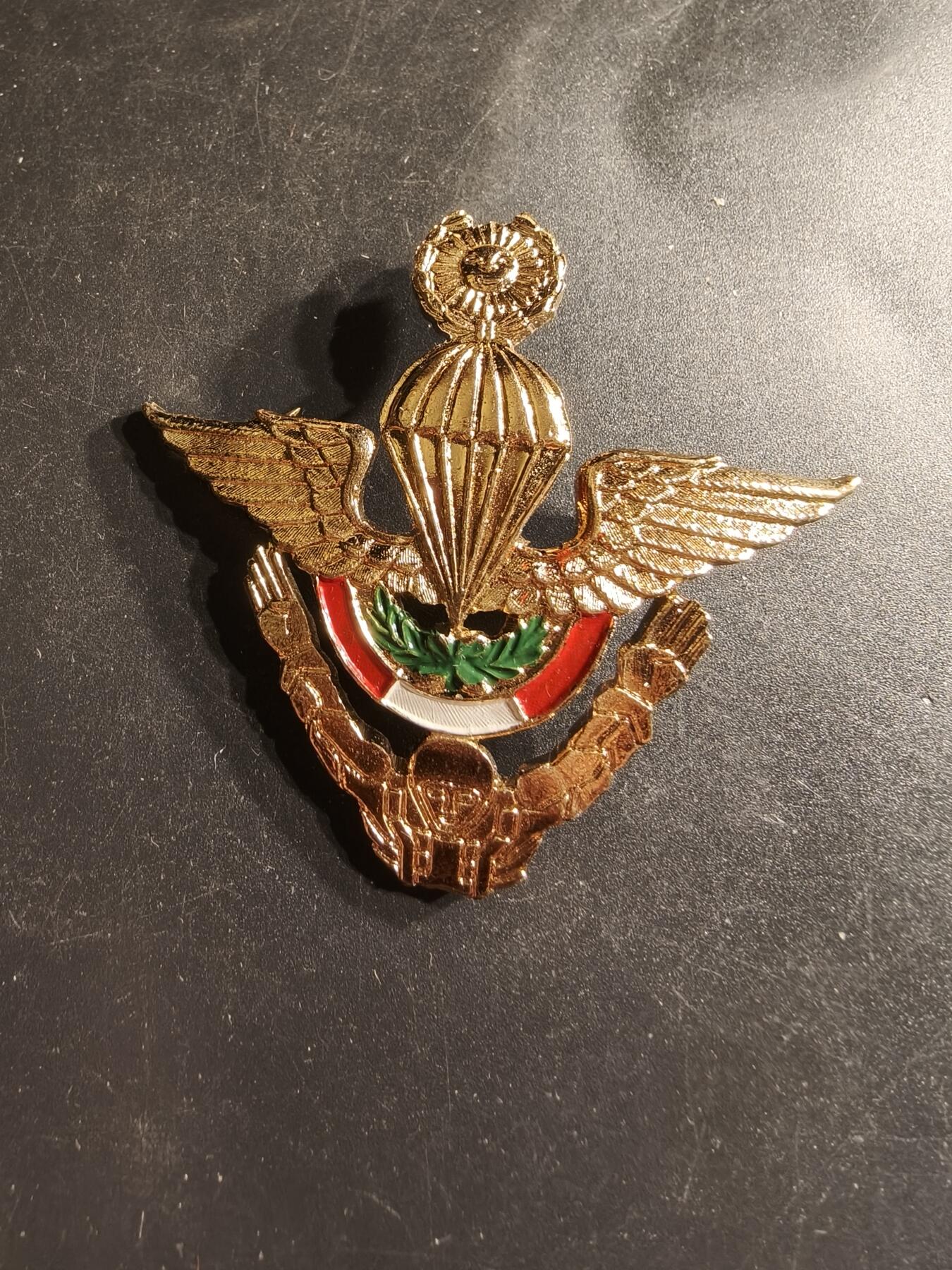 老王徽章第158期 秘鲁自由落体空降兵高级技能章
