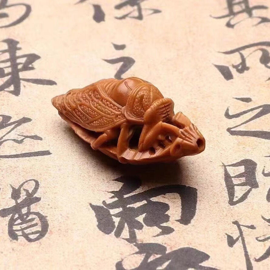 听雨轩（六） 橄榄核单籽橄榄核雕刻一鸣惊人