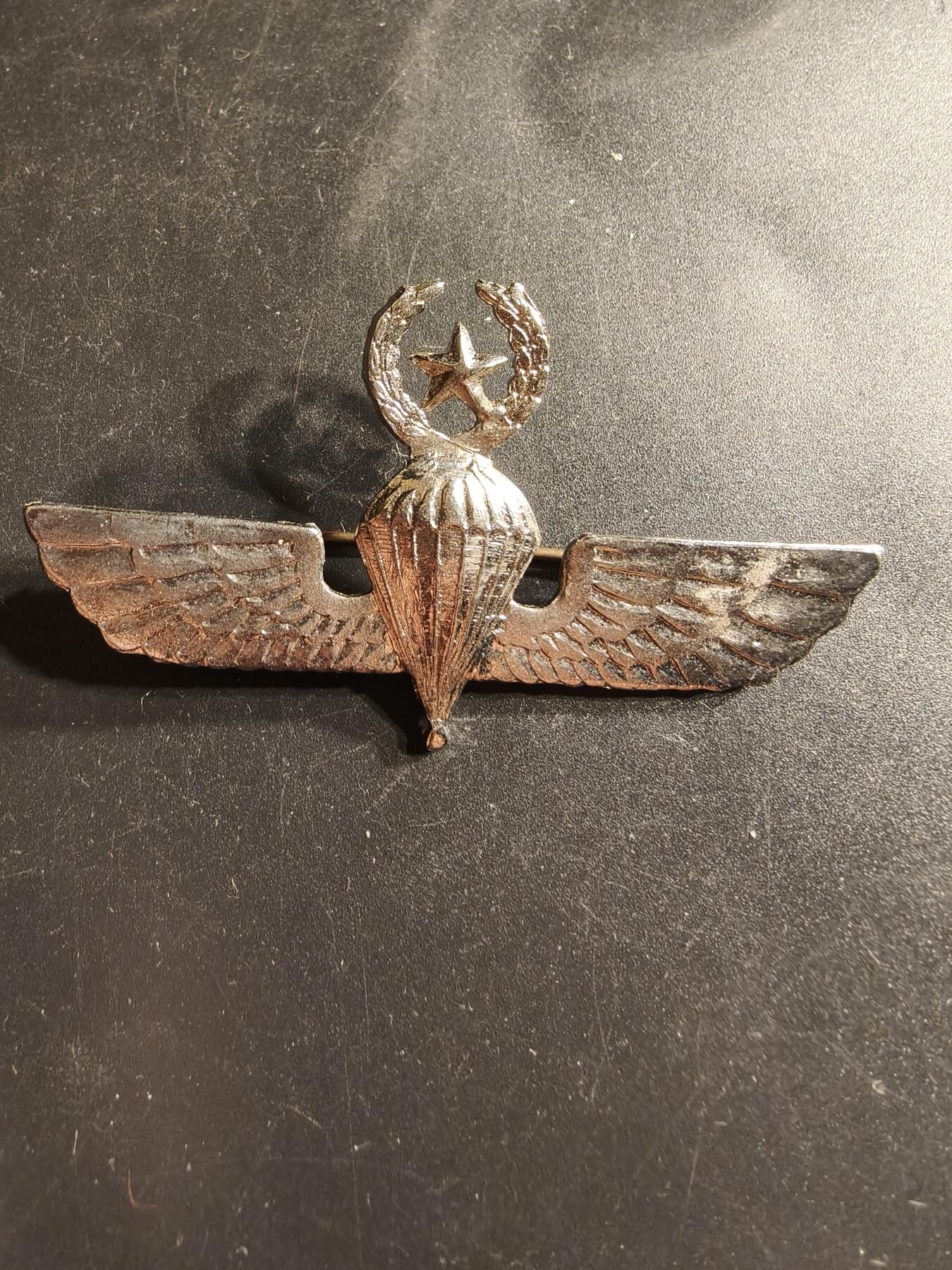 老王徽章第158期 希腊空降兵高级技能章 