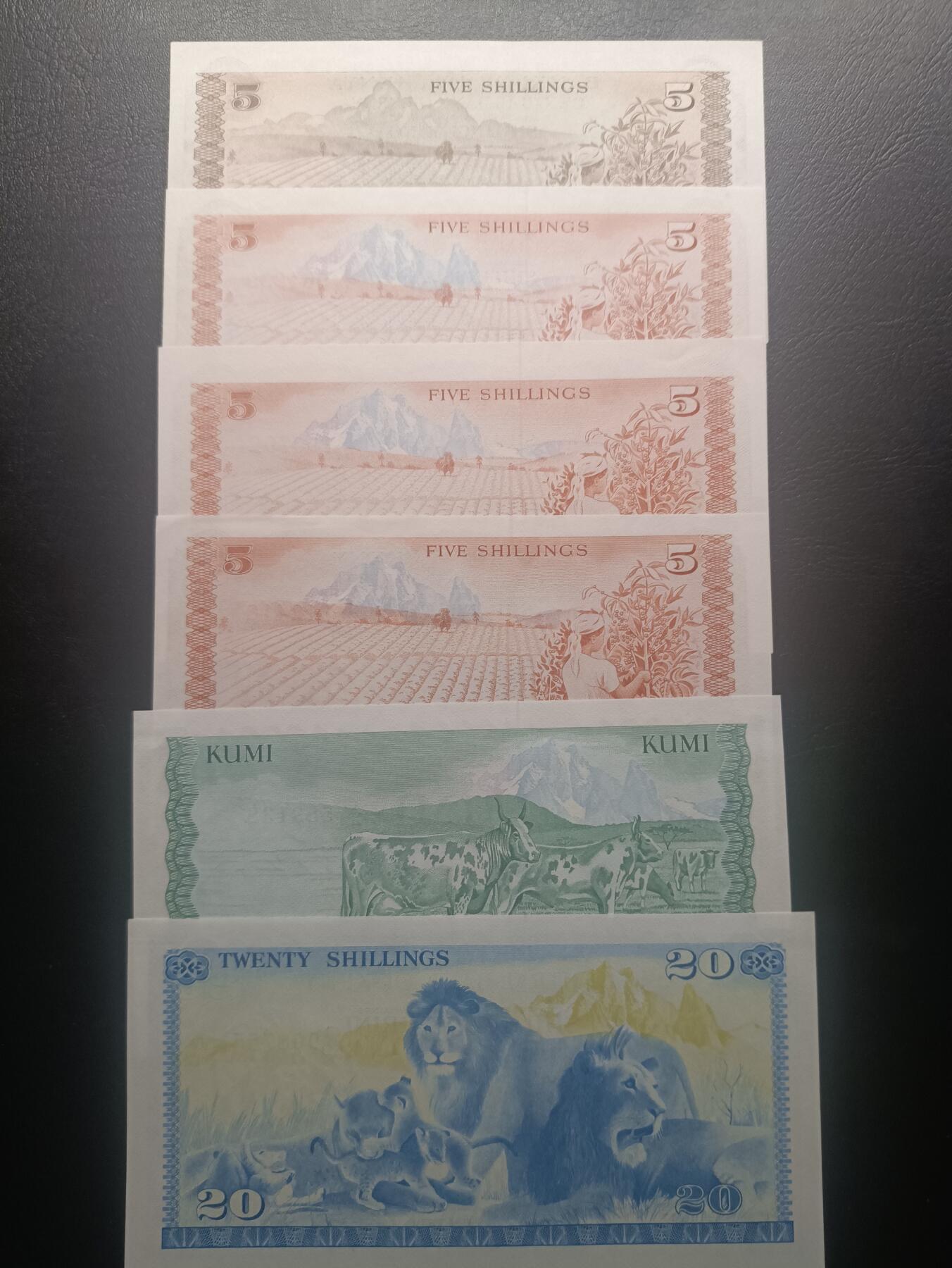 2025十月第三期，总197期