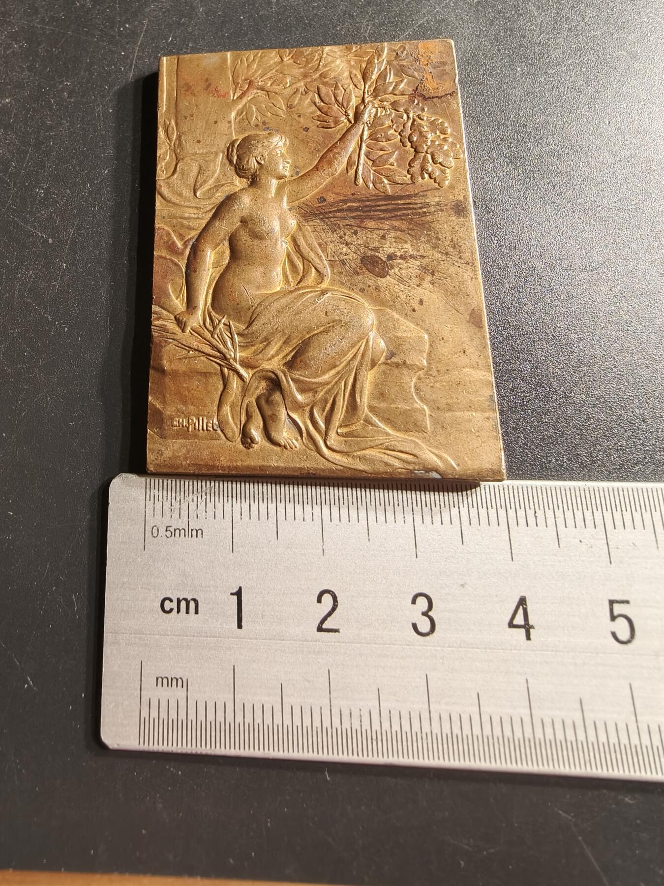 老王徽章第158期 法国镀金玛丽安娜方形大铜章     大师皮列作品     尺寸53×36mm.    重量56.8g