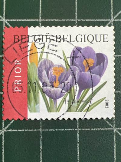 第1033 邮票专场 （无押金，捡漏，全场50包邮，偏远地区除外，接收代拍业务，本店十天发一次货） - 比利时邮票