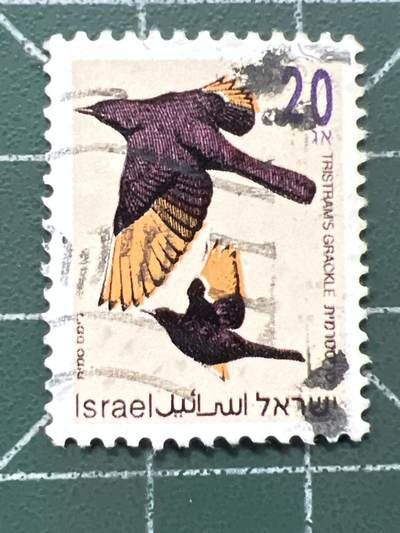 第1034 邮票专场 （无押金，捡漏，全场50包邮，偏远地区除外，接收代拍业务，本店十天发一次货） - 保加利亚邮票