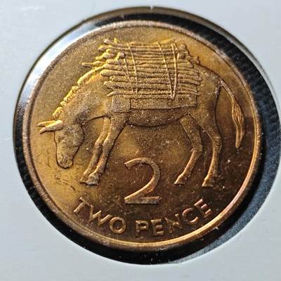 KK钱币收藏小铺  第357场  2月预留时间 周末发货 -  1984英属圣赫勒拿和阿森松2便士