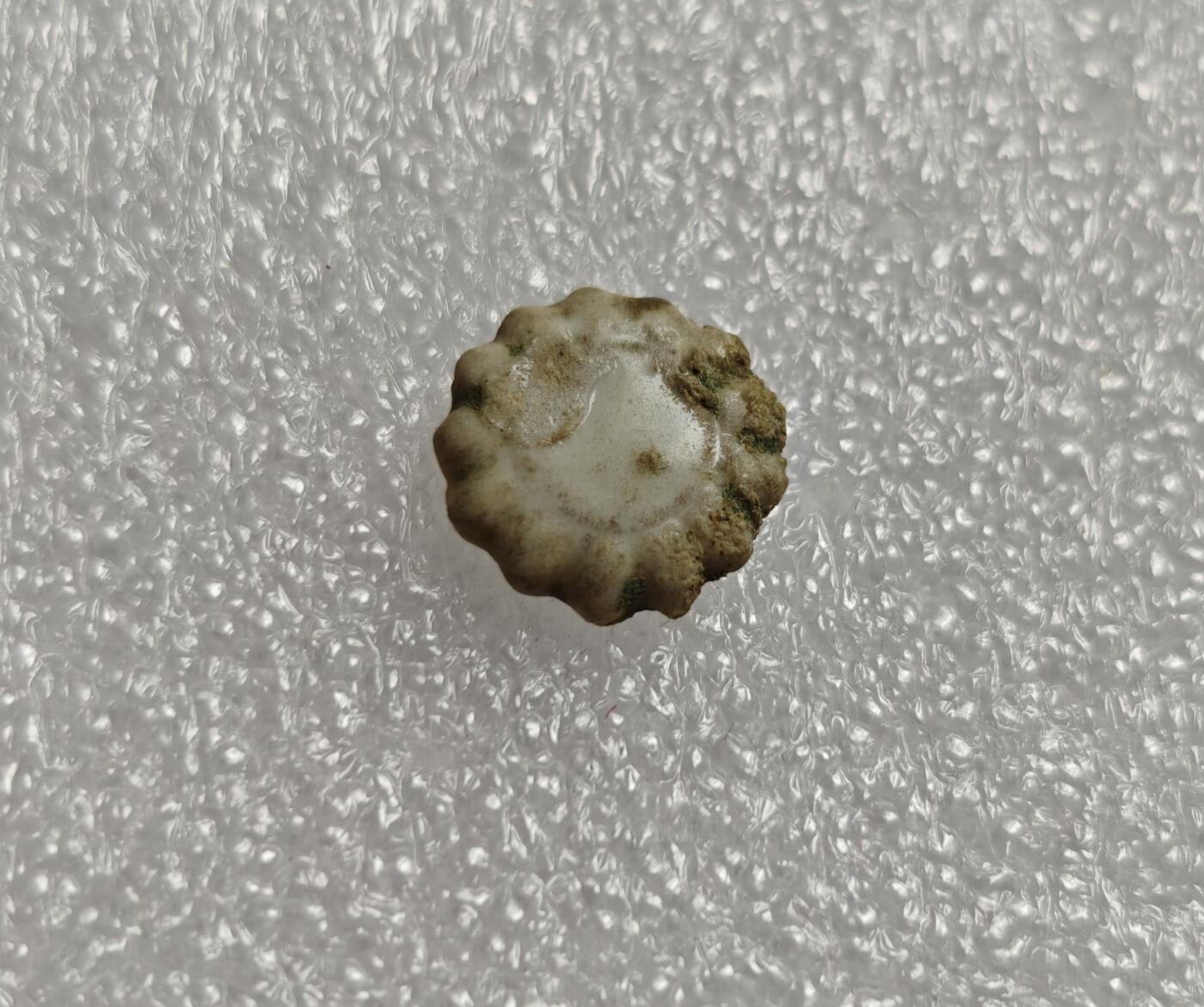 瓶子🏺第213期拍卖会  暹罗瓷币  花边
