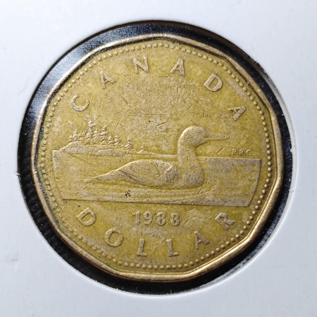 KK钱币收藏小铺  第357场  2月预留时间 周末发货 1988加拿大1元 