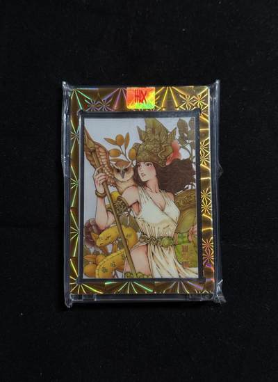 戎马世界章牌大赏第107期 - 2025年麦稀奇嘉年华纪念银卡，限量300张