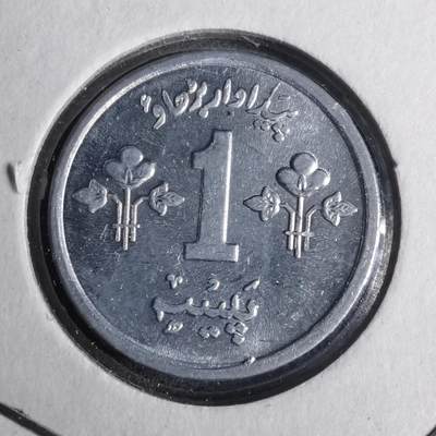 沼泽如烟--第883场 - 巴基斯坦1974年派沙