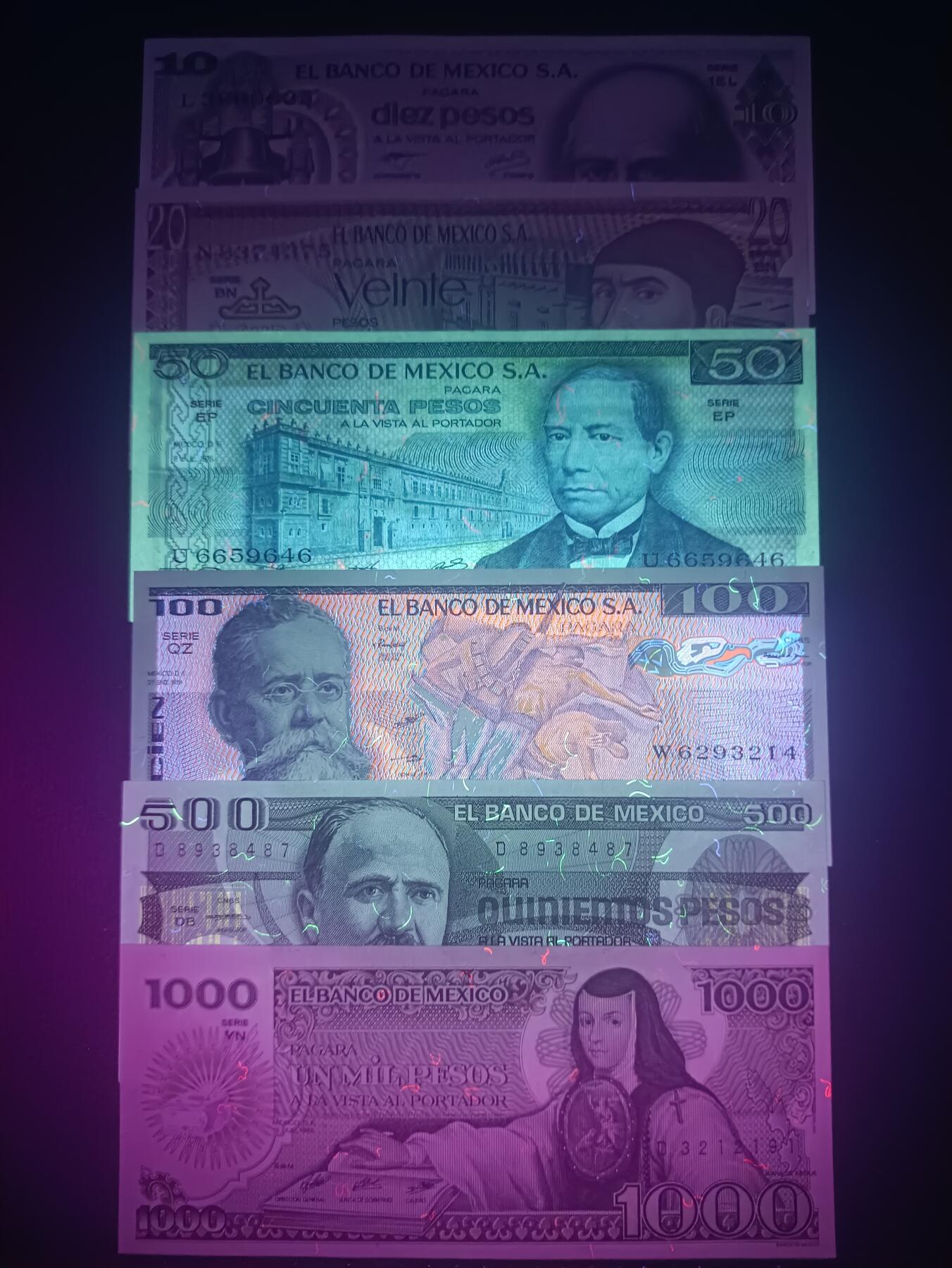 2025十月第三期，总197期