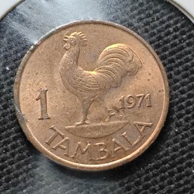 KK钱币收藏小铺  第357场  2月预留时间 周末发货 -  马拉维1坦巴拉