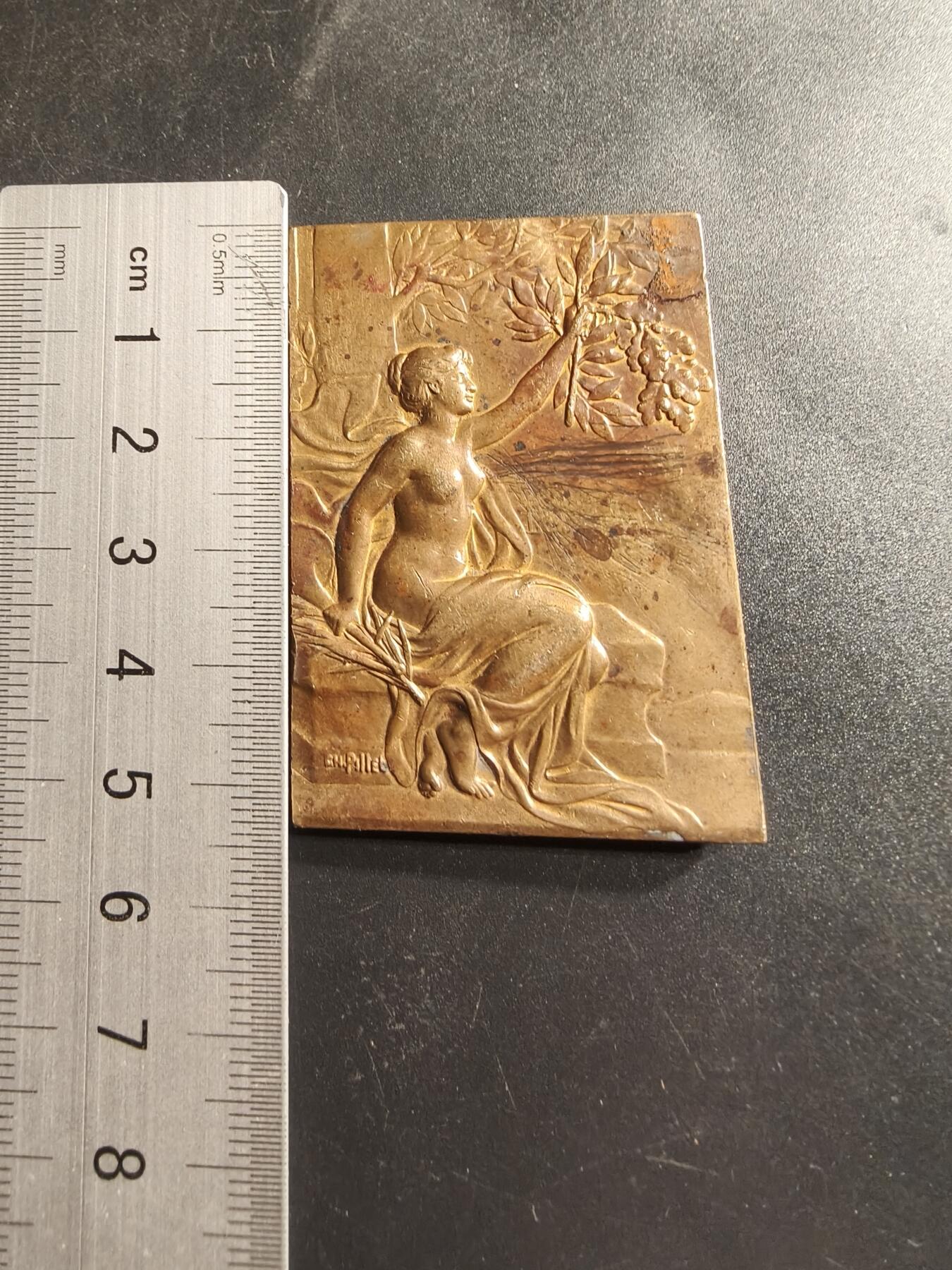 老王徽章第158期 法国镀金玛丽安娜方形大铜章     大师皮列作品     尺寸53×36mm.    重量56.8g